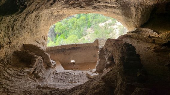Gila National Forest