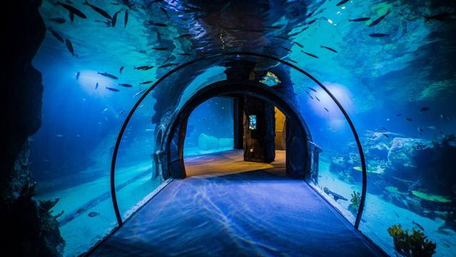 Funtastic Aquariums İzmir