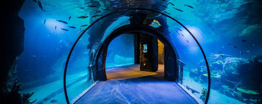 Funtastic Aquarium İzmir