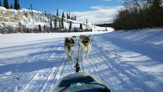 Muktuk Adventures - guided canoeing, hiking and dog sledding