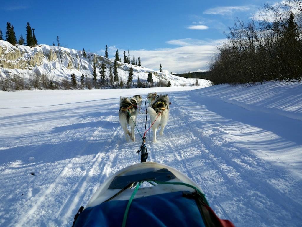 Muktuk Adventures - guided canoeing, hiking and dog sledding