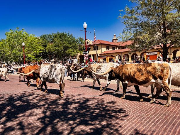 Fort Worth Stockyards