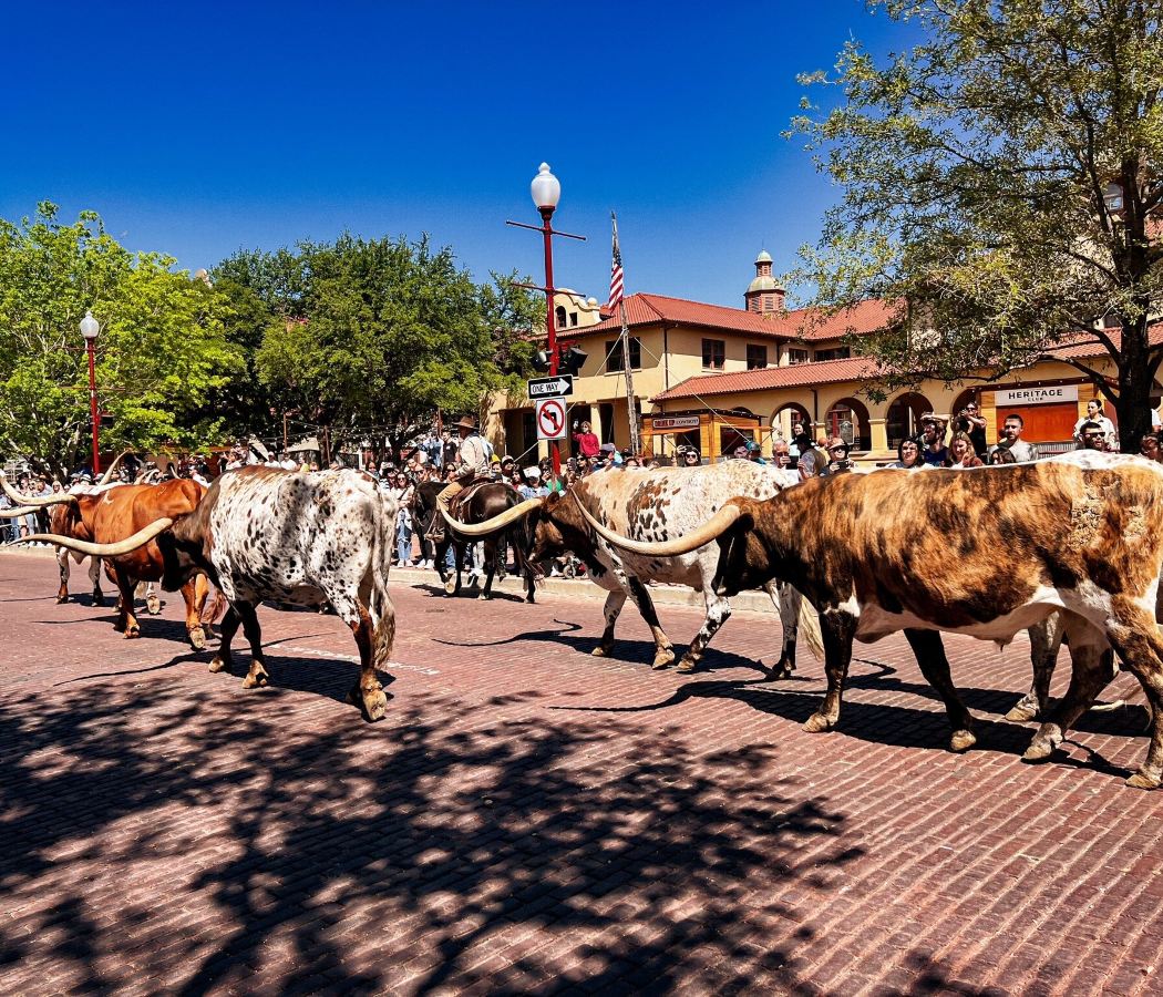 Fort Worth Stockyards