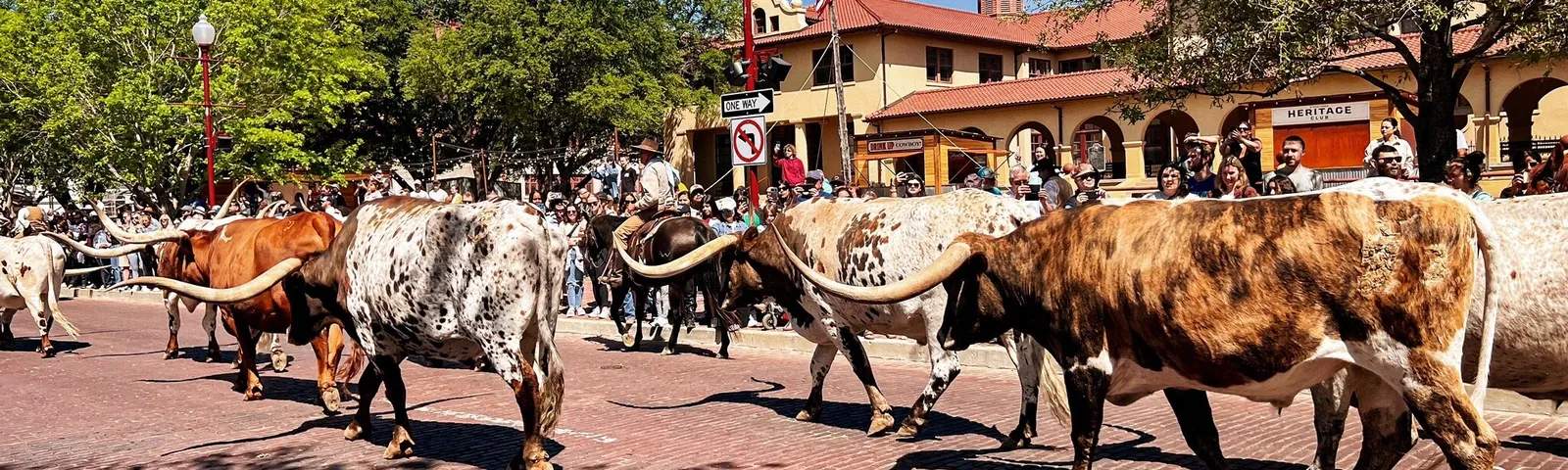 沃思堡特色體驗