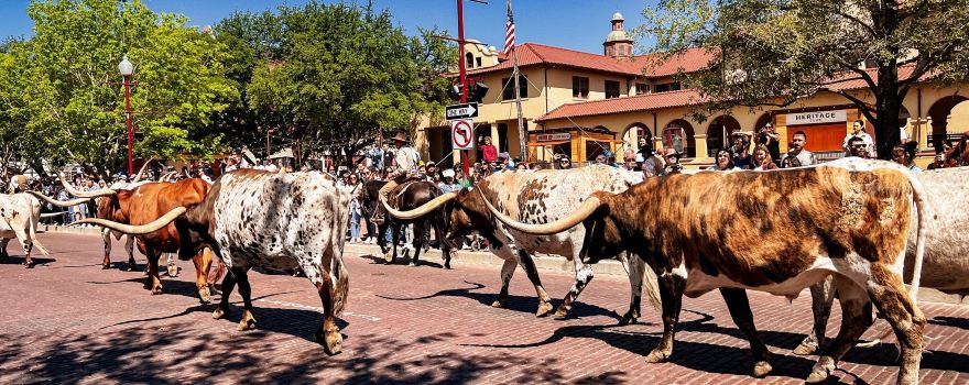 Fort Worth
