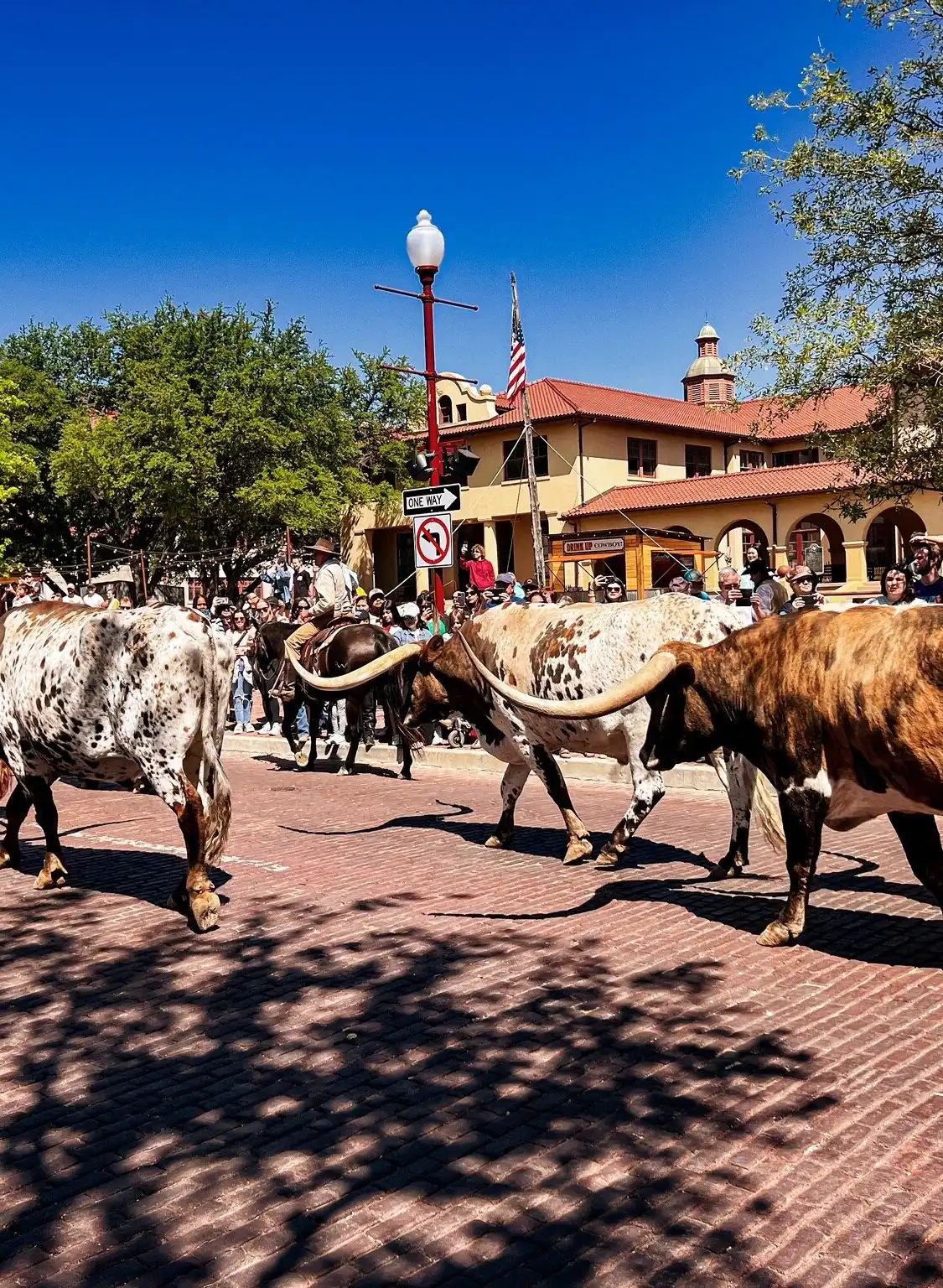 Hotels near Fort Worth Herd