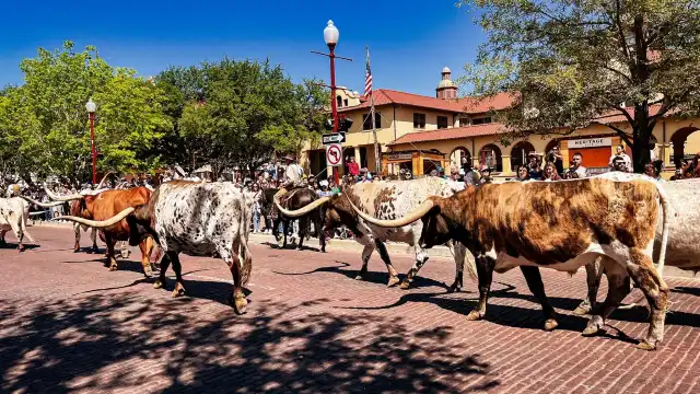 โรงแรมใกล้Fort Worth Herd Longhorn Cattle Drive