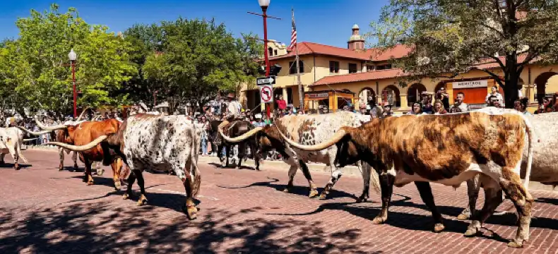 フォートワースのホテル