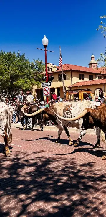 โรงแรมในฟอร์ตเวิร์ธ