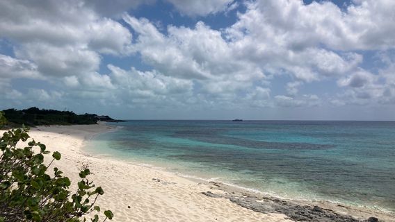 Malcolm's Road Beach