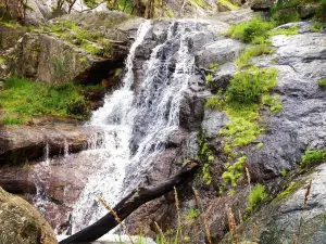 Warby-Ovens National Park