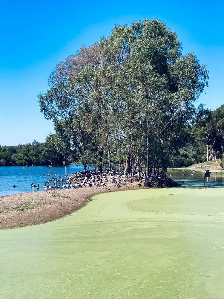 Hotels in der Nähe von The Reject Shop