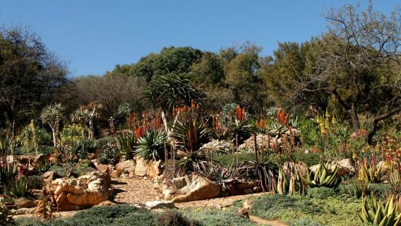Walter Sisulu National Botanical Garden