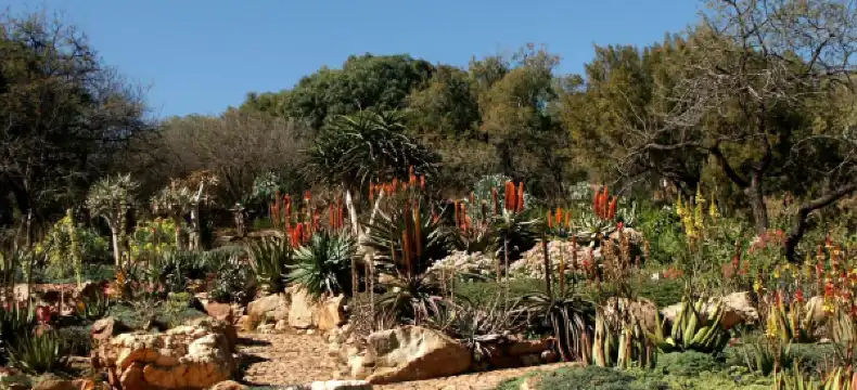 Roodepoort