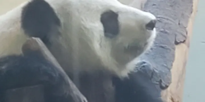 Artsy Me Ceramic & Art Studio