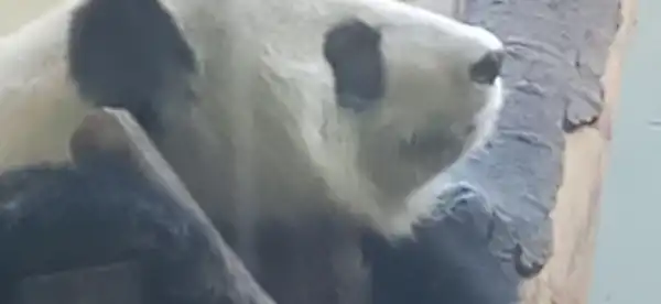 에번스 호텔