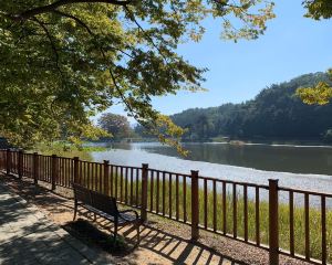 香港-清州 機票酒店 自由行