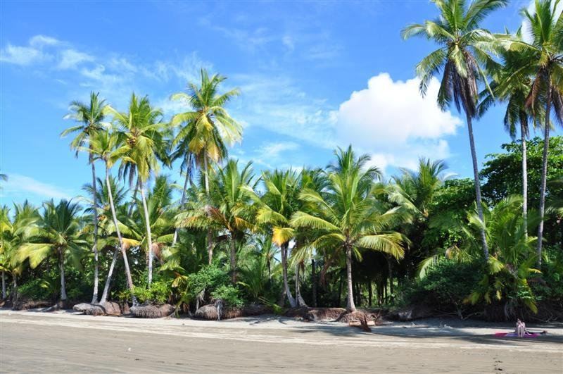 Uvita