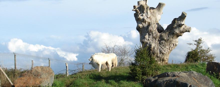Natur'zoo de Mervent