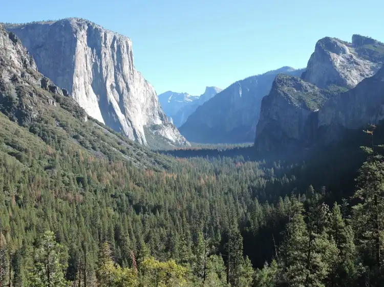 Wawona