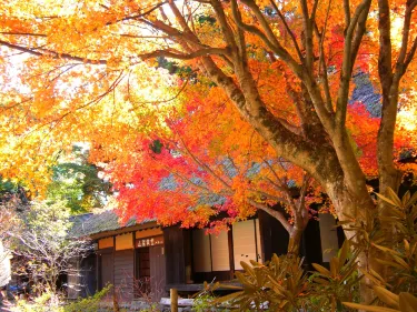 Yatsushiro