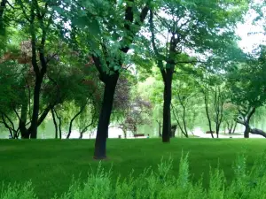 Alexandru Ioan Cuza Park