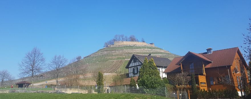 Burgruine Weibertreu
