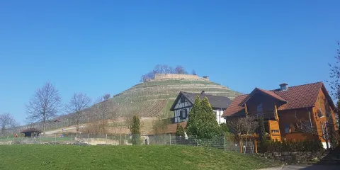 Burgruine Weibertreu