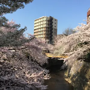 石神井川綠道