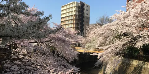 石神井川綠道