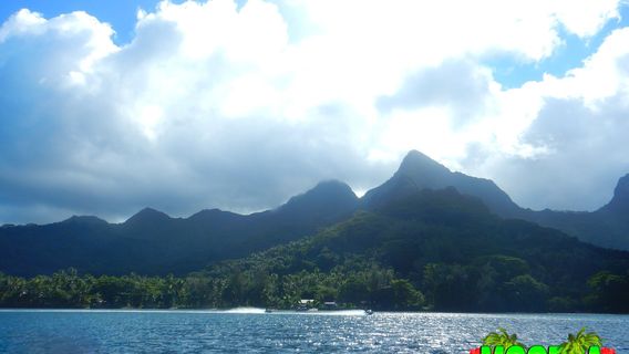 Moorea Activities Center - Opunohu