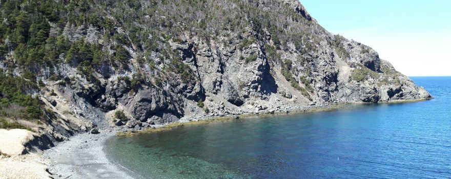 Lark Harbour