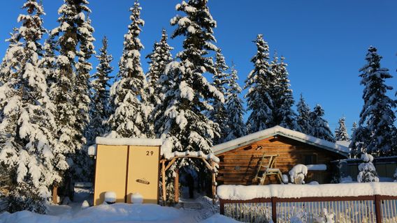 Dennis Shorty Fine Art