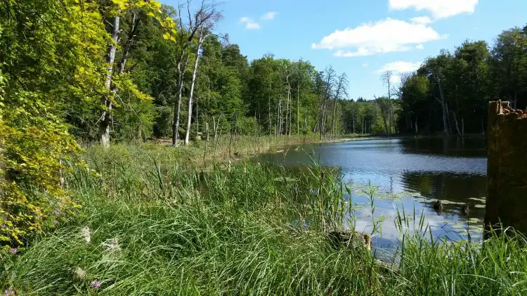 Hotels in Carpin
