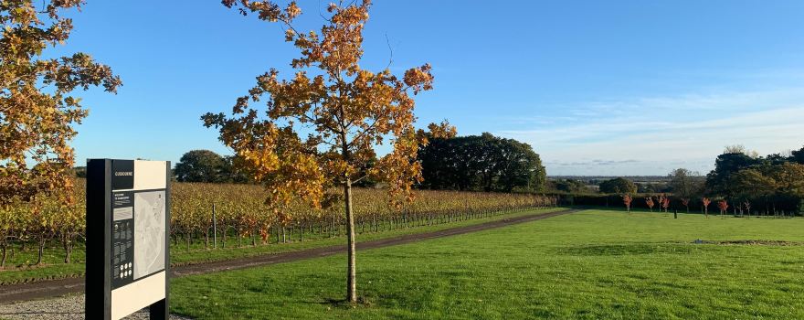 Gusbourne