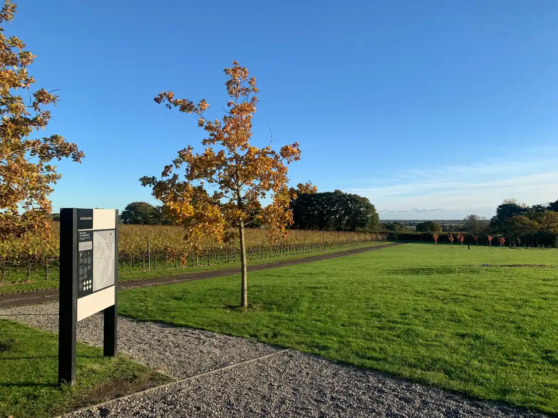 Hotels near Gusbourne
