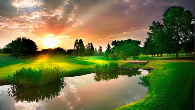 The Bryanston Country Club