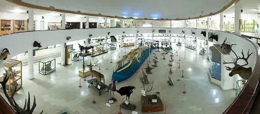 Natural History and Technology Museum