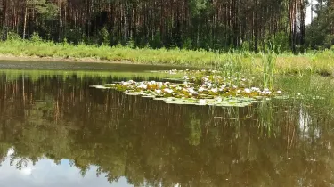 Pabianice powiat