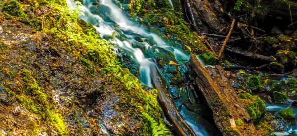 Hotels in Thurston County