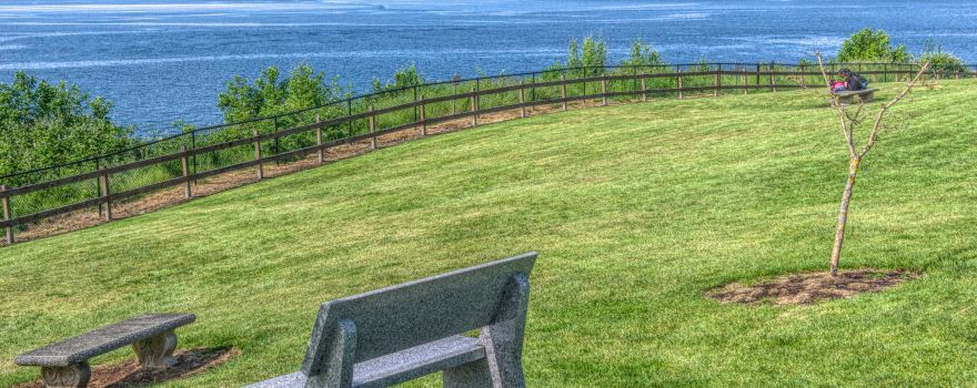 Pioneer Orchard Park