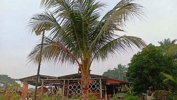 Sg. Lalang Hot Spring