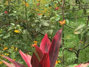 Jardin Public Bujumbura