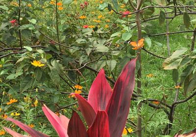 Jardin Public Bujumbura
