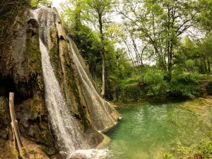 Cascade Pétrifiante