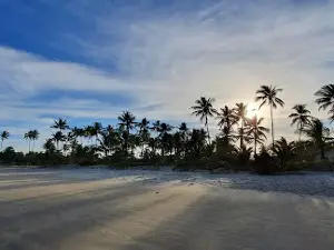 Praia do Sargi