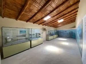 MUSEO DE SACACO