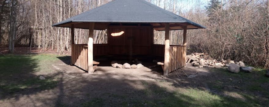 Folkeskoven