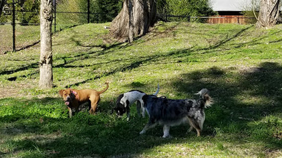 Trussville Park and Rec Building