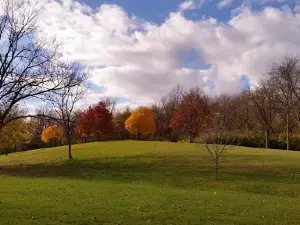 Thomas Park